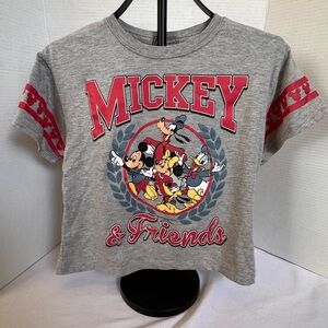 Disney Mickey & Friends Graphic Tee XS Fabulous 05 Shirt Gray Red